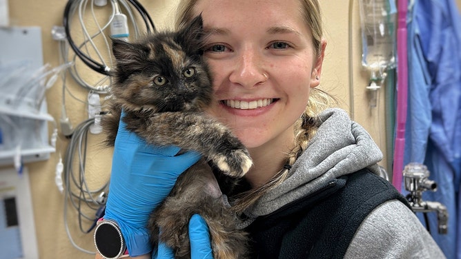 Cinder gets some love from Central Oregon Clinic Manager Bailey Shelton after surgery.