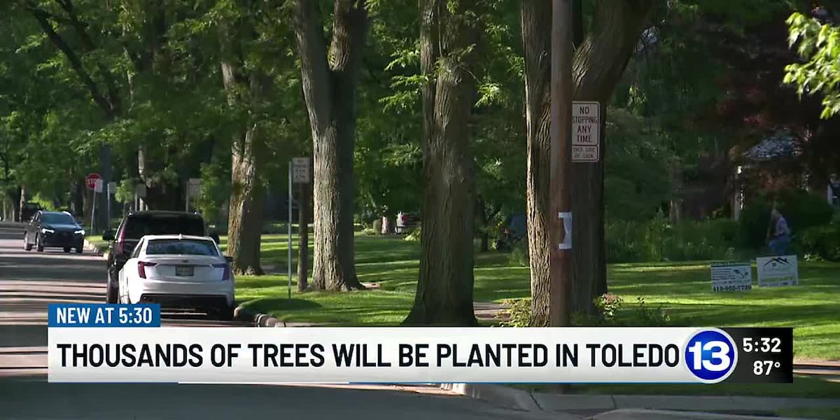 Thousands of trees will be added to the streets of Toledo to help the environment and your wallet