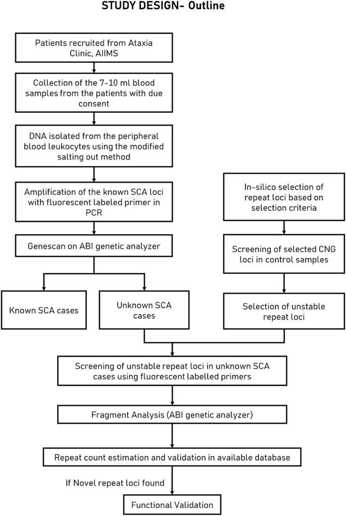 Identification of unstable CNG repeat loci in the human genome: a heuristic approach and implications for neurological disorders - Human Genome Variation